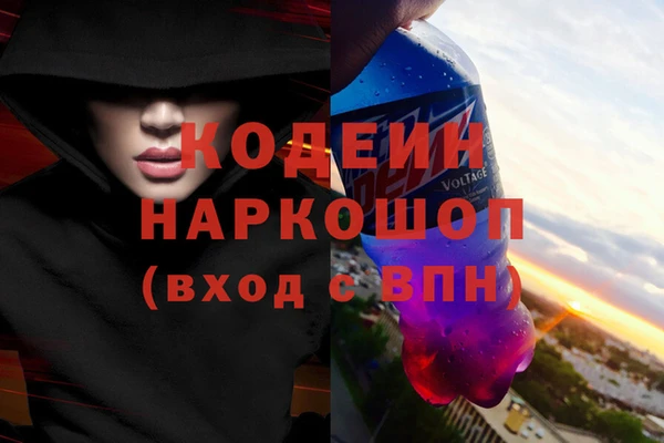 дмт Алзамай