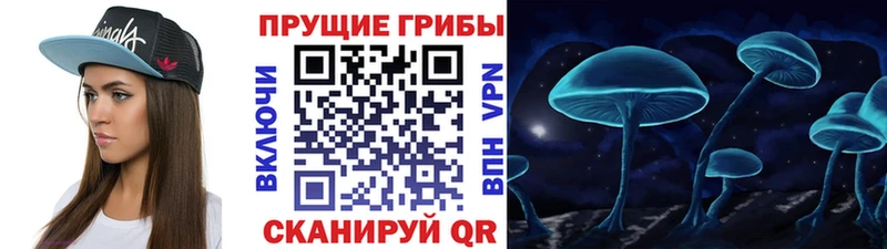 Купить  Новая Усмань  Галлюциногенные грибы MAGIC MUSHROOMS 